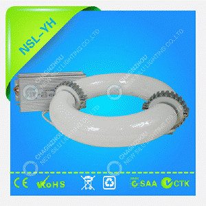 40w-300w energy saving&maintenance free induction light